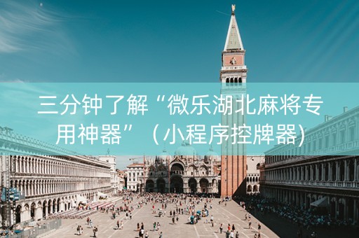 三分钟了解“微乐湖北麻将专用神器”（小程序控牌器)