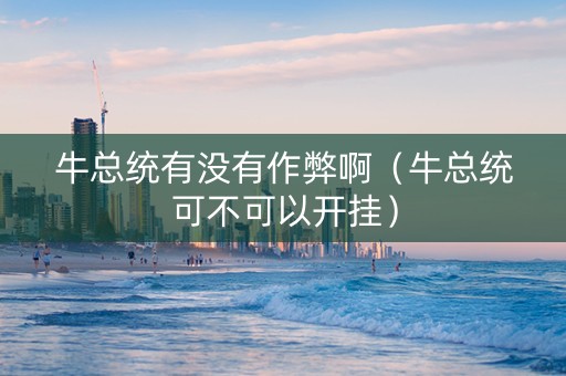 牛总统有没有作弊啊（牛总统可不可以开挂）