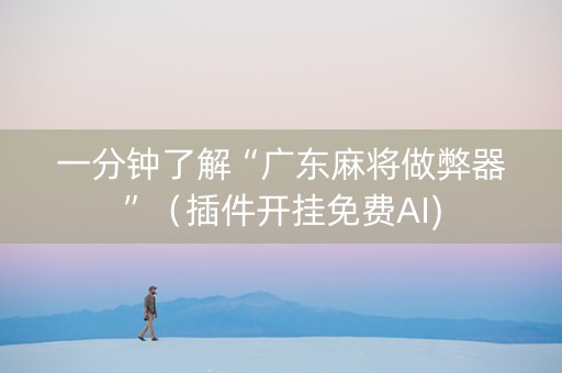 一分钟了解“广东麻将做弊器”（插件开挂免费AI)