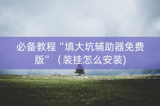 必备教程“填大坑辅助器免费版”（装挂怎么安装)