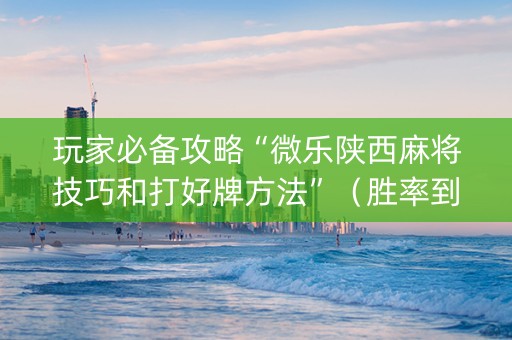 玩家必备攻略“微乐陕西麻将技巧和打好牌方法”（胜率到哪调)