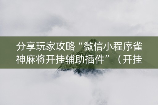 分享玩家攻略“微信小程序雀神麻将开挂辅助插件”（开挂辅助插件)
