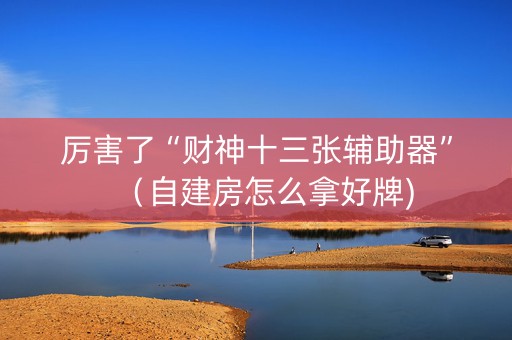 厉害了“财神十三张辅助器”（自建房怎么拿好牌)