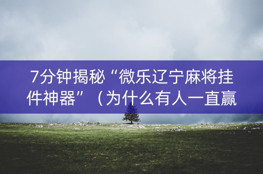 7分钟揭秘“微乐辽宁麻将挂件神器”（为什么有人一直赢)