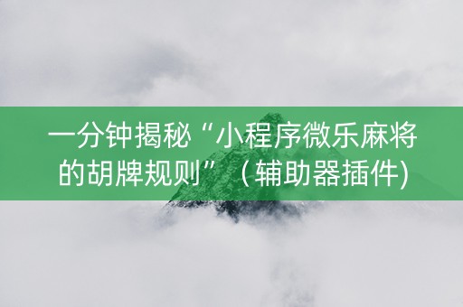 一分钟揭秘“小程序微乐麻将的胡牌规则”（辅助器插件)