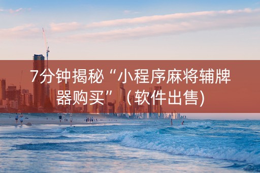 7分钟揭秘“小程序麻将辅牌器购买”（软件出售)