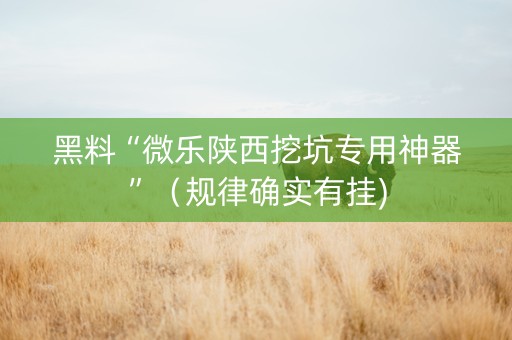 黑料“微乐陕西挖坑专用神器”（规律确实有挂)