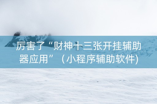 厉害了“财神十三张开挂辅助器应用”（小程序辅助软件)