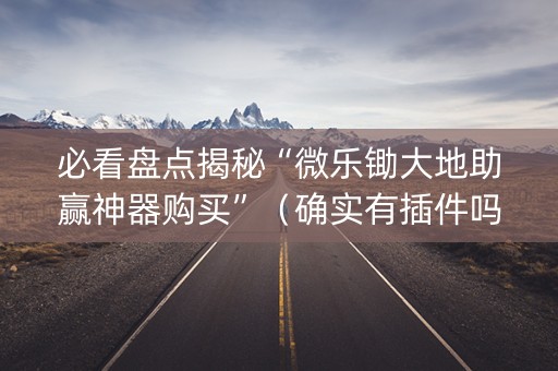 必看盘点揭秘“微乐锄大地助赢神器购买”（确实有插件吗)