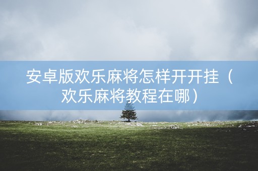 安卓版欢乐麻将怎样开开挂（欢乐麻将教程在哪）