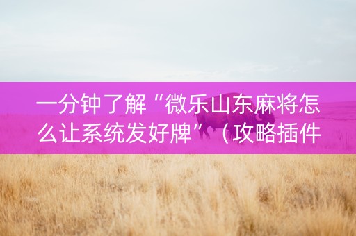 一分钟了解“微乐山东麻将怎么让系统发好牌”（攻略插件)