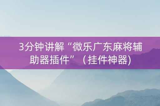 3分钟讲解“微乐广东麻将辅助器插件”（挂件神器)