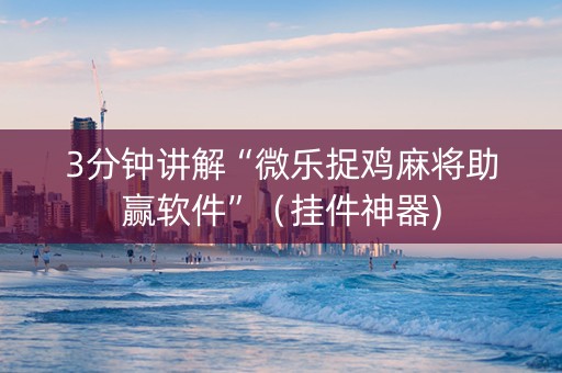 3分钟讲解“微乐捉鸡麻将助赢软件”（挂件神器)