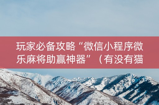 玩家必备攻略“微信小程序微乐麻将助赢神器”（有没有猫腻)