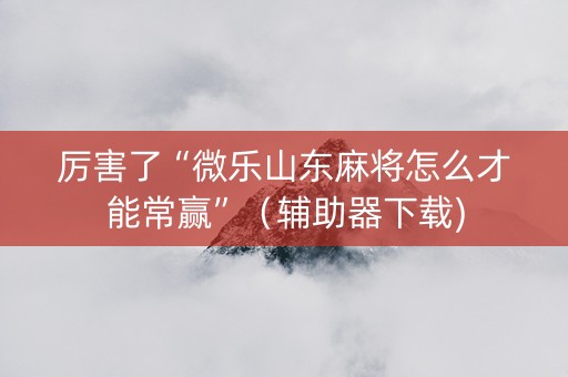 厉害了“微乐山东麻将怎么才能常赢”（辅助器下载)