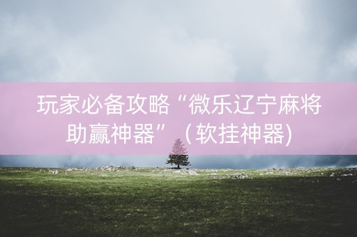 玩家必备攻略“微乐辽宁麻将助赢神器”（软挂神器)