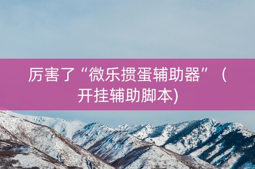 厉害了“微乐掼蛋辅助器”（开挂辅助脚本)