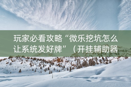 玩家必看攻略“微乐挖坑怎么让系统发好牌”（开挂辅助器插件)