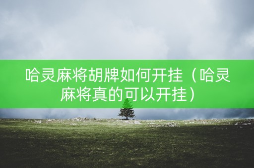 哈灵麻将胡牌如何开挂（哈灵麻将真的可以开挂）