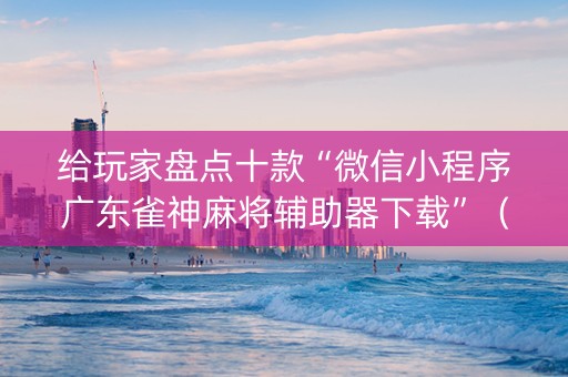 给玩家盘点十款“微信小程序广东雀神麻将辅助器下载”（辅助器插件)