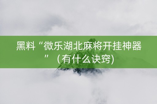 黑料“微乐湖北麻将开挂神器”（有什么诀窍)