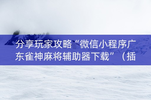 分享玩家攻略“微信小程序广东雀神麻将辅助器下载”（插件开挂免费AI)