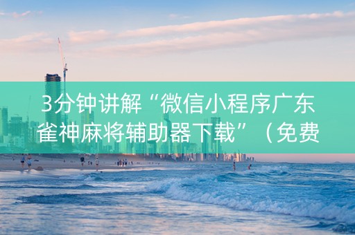3分钟讲解“微信小程序广东雀神麻将辅助器下载”（免费专用神器)