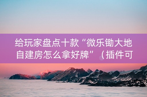 给玩家盘点十款“微乐锄大地自建房怎么拿好牌”（插件可信吗)