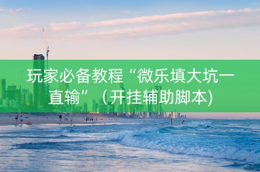 玩家必备教程“微乐填大坑一直输”（开挂辅助脚本)