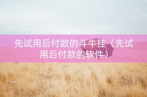 先试用后付款的斗牛挂（先试用后付款的软件）