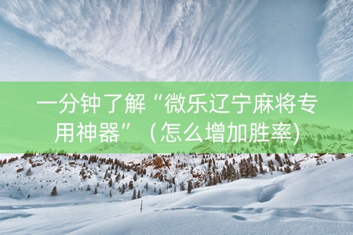 一分钟了解“微乐辽宁麻将专用神器”（怎么增加胜率)