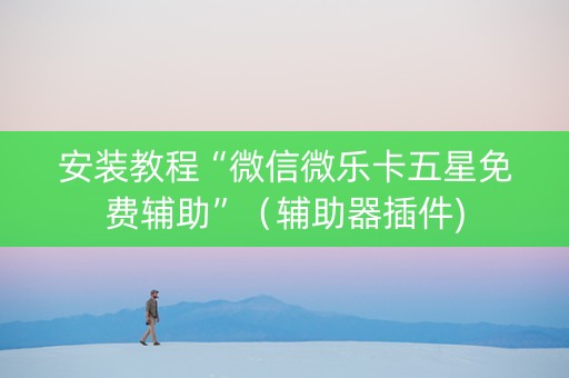 安装教程“微信微乐卡五星免费辅助”（辅助器插件)
