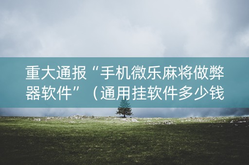 重大通报“手机微乐麻将做弊器软件”（通用挂软件多少钱)