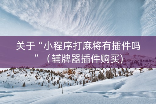 关于“小程序打麻将有插件吗”（辅牌器插件购买)