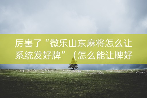 厉害了“微乐山东麻将怎么让系统发好牌”（怎么能让牌好一点)