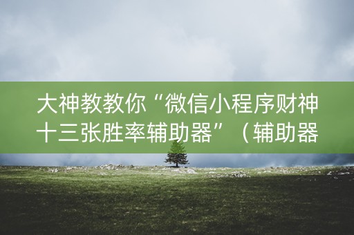 大神教教你“微信小程序财神十三张胜率辅助器”（辅助器通用版)