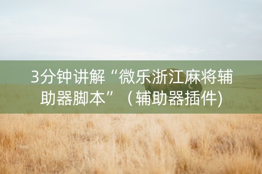 3分钟讲解“微乐浙江麻将辅助器脚本”（辅助器插件)