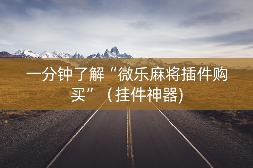 一分钟了解“微乐麻将插件购买”（挂件神器)