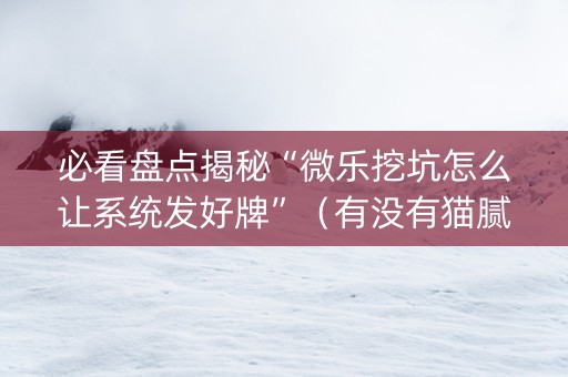 必看盘点揭秘“微乐挖坑怎么让系统发好牌”（有没有猫腻)