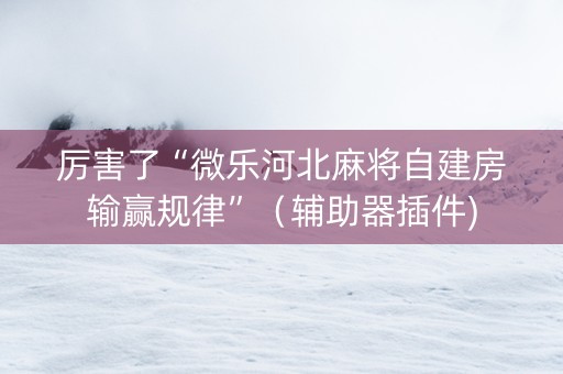 厉害了“微乐河北麻将自建房输赢规律”（辅助器插件)