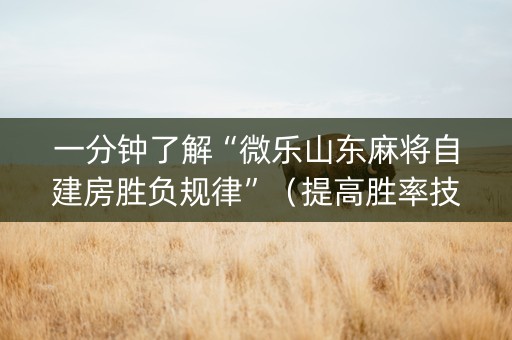 一分钟了解“微乐山东麻将自建房胜负规律”（提高胜率技巧)