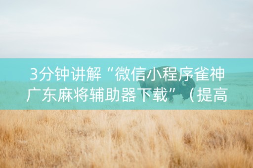 3分钟讲解“微信小程序雀神广东麻将辅助器下载”（提高胜率软件)