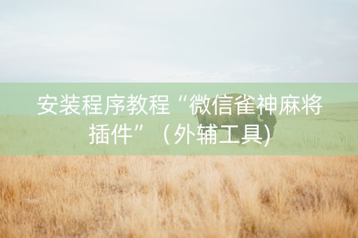 安装程序教程“微信雀神麻将插件”（外辅工具)