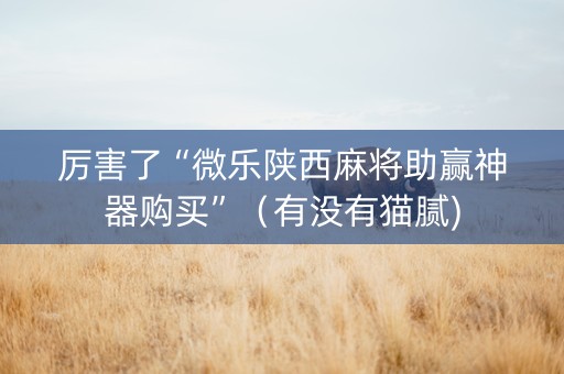 厉害了“微乐陕西麻将助赢神器购买”（有没有猫腻)