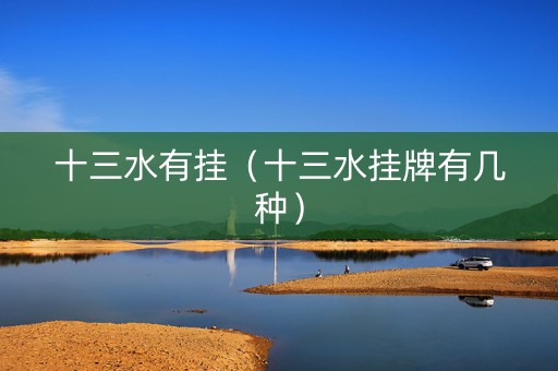 十三水有挂（十三水挂牌有几种）