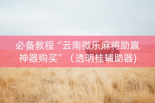 必备教程“云南微乐麻将助赢神器购买”（透明挂辅助器)