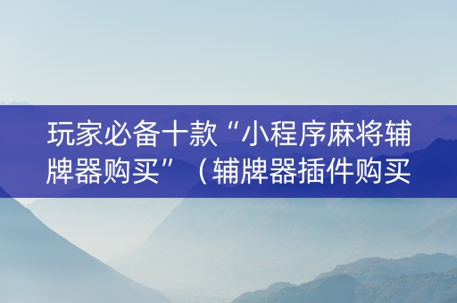 玩家必备十款“小程序麻将辅牌器购买”（辅牌器插件购买)