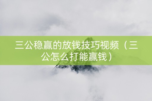 三公稳赢的放钱技巧视频（三公怎么打能赢钱）