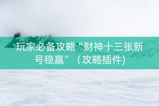 玩家必备攻略“财神十三张新号稳赢”（攻略插件)