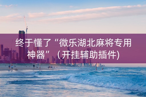 终于懂了“微乐湖北麻将专用神器”（开挂辅助插件)